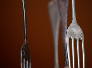 Image of forks, Pukawa, North Island, New Zealand