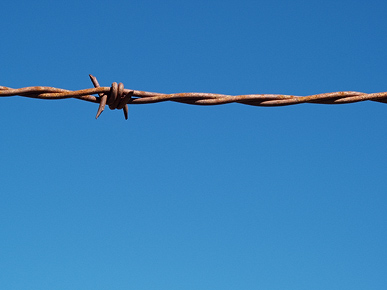 Image of barbed wire, Otago, South Island, New Zealand